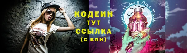 дживик Белокуриха