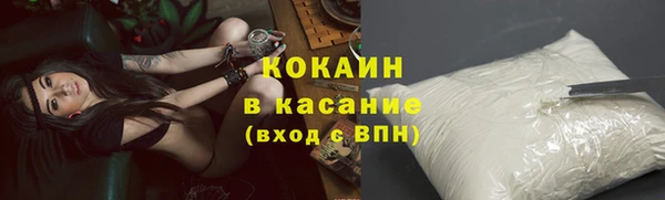 дживик Белокуриха