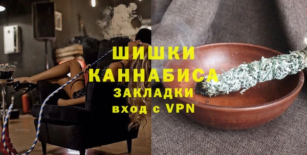 дживик Белокуриха
