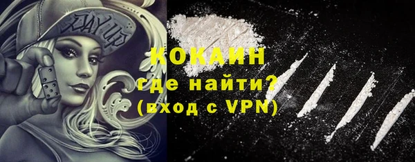 дживик Белокуриха